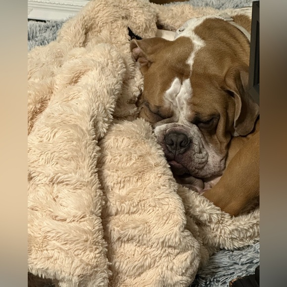 Meet your Posher, Kimberly - Picture 5 of 13